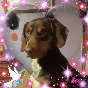 Meet your Posher, Tiffney